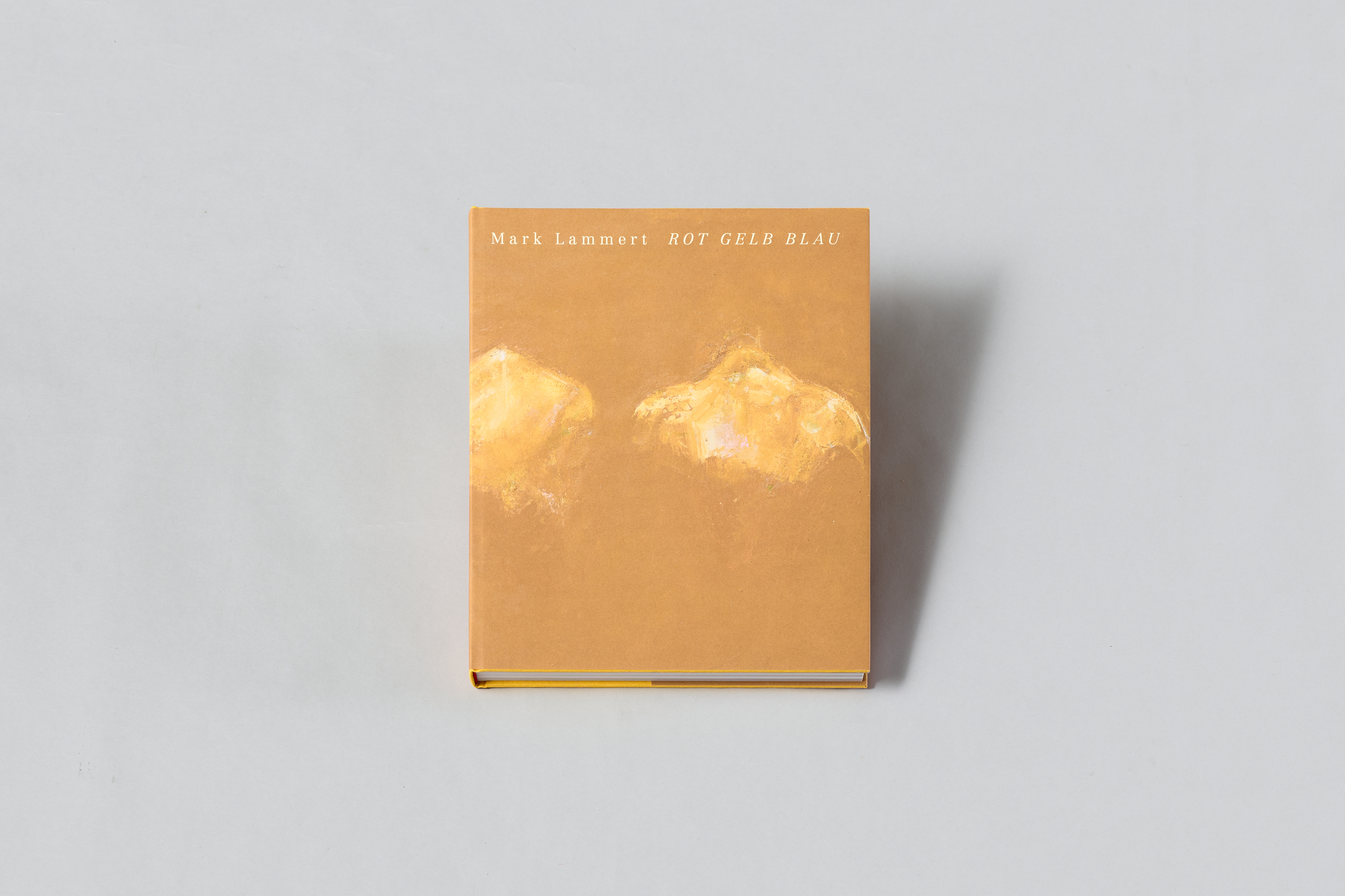 AI generated: The image shows a book entitled "ROT GELB BLAU" by Mark Lammert, whose cover is designed in earth tones with abstract yellow shapes. The book lies on a light grey background.