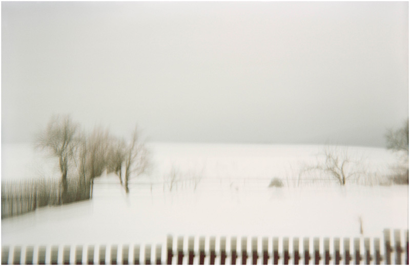 KI generiert: Das Bild zeigt eine winterliche Landschaft mit schneebedecktem Feld, Bäumen und einem Lattenzaun im Vordergrund. Die Atmosphäre wirkt ruhig und neblig.