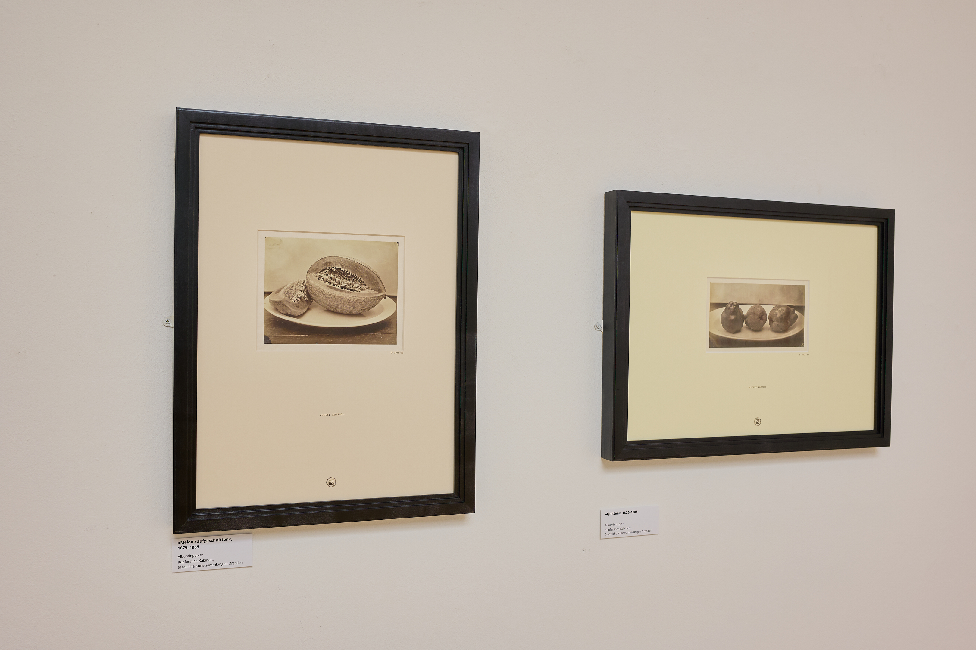 KI generiert: Das Bild zeigt zwei gerahmte Fotografien an einer Ausstellungswand. Die Fotografien stellen Stillleben von Früchten dar.