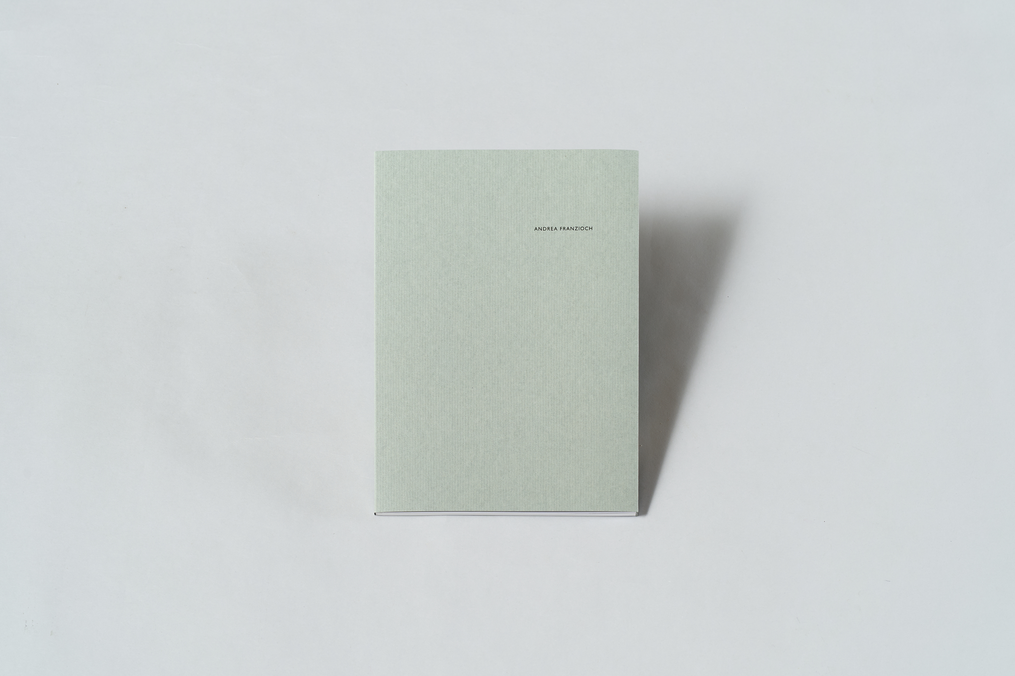 AI generated: The image shows a plain, light grey book lying in the middle of a white surface. The name "Andrea Romanzi" and no other design can be seen on the book cover in a minimalist style.