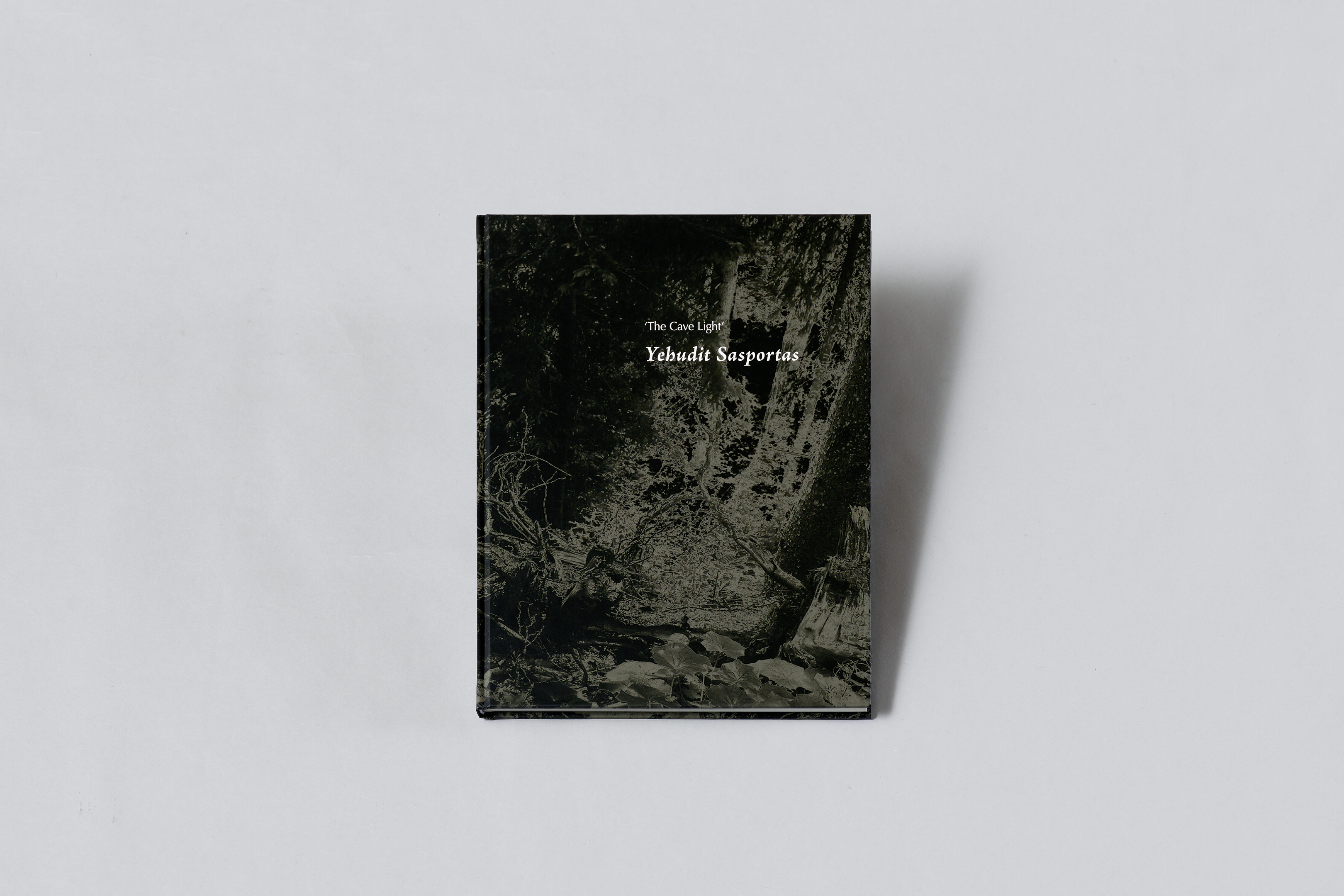 AI generated: The image shows a book entitled "The Cave Light" by Yehudit Sasportas, whose cover depicts a black and white image of nature with trees and rocks. The book lies on a neutral, light-coloured surface.