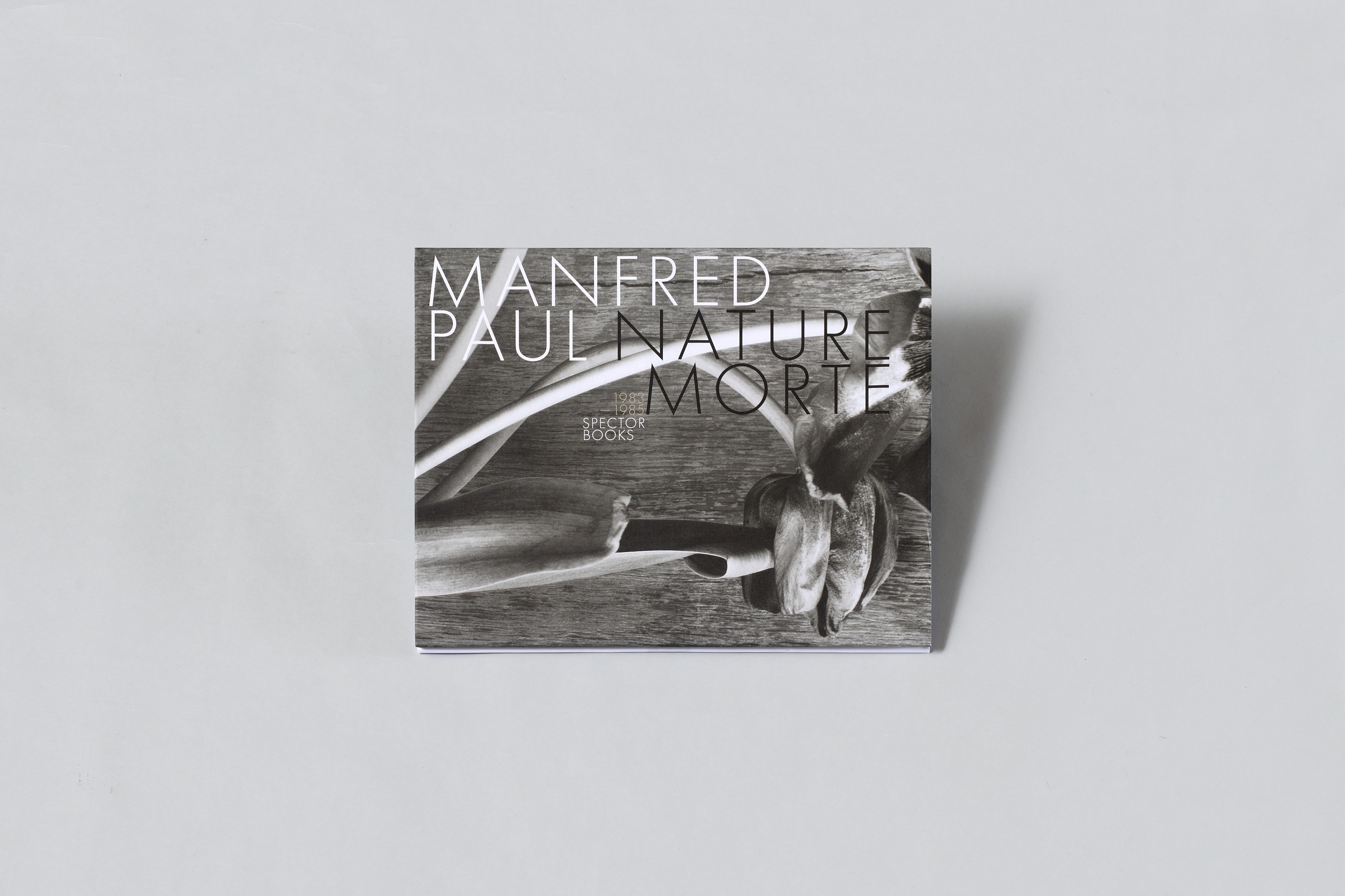 AI generated: The image shows a book entitled "Manfred Paul Nature Morte", published by Spector Books. The cover shows botanical motifs in black and white.