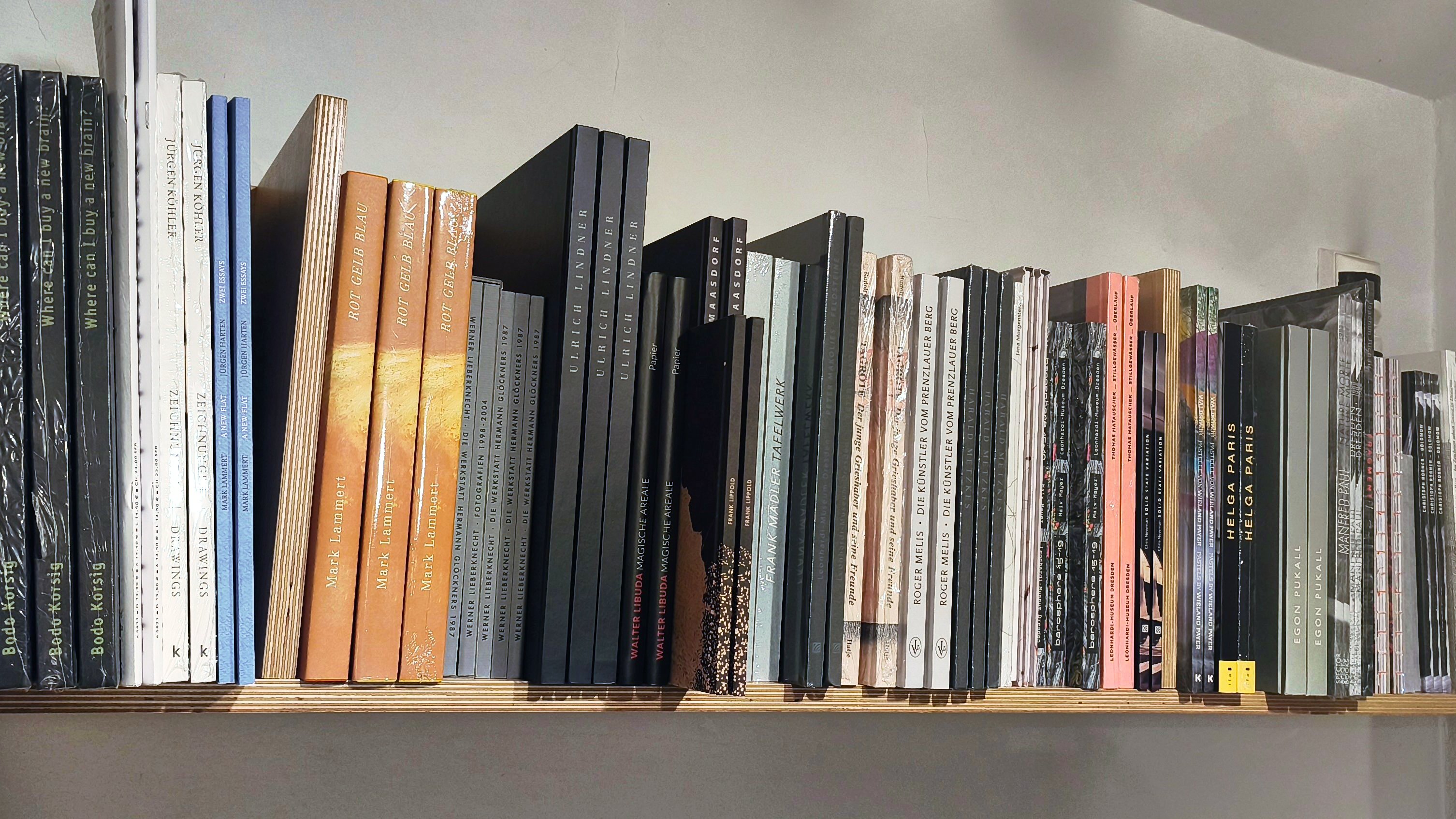 KI generiert: Das Bild zeigt ein Regal voller Bücher unterschiedlicher Größe und Farbe, die eng aneinandergereiht sind. Der Hauptinhalt des Bildes ist die geordnete Sammlung von Büchern auf dem Holzregal.