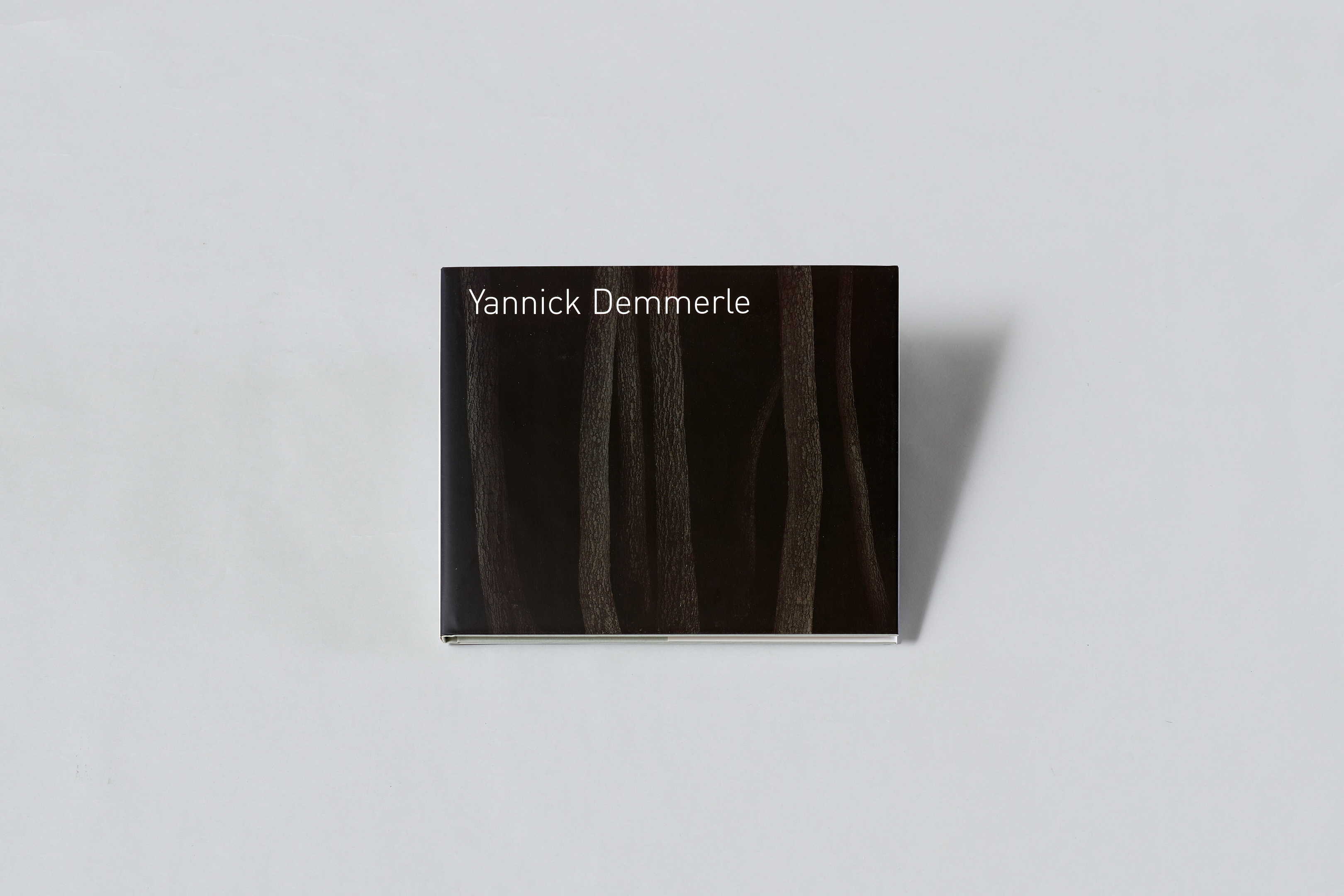AI generated: The image shows the back of a book with the title "Yannick Demmerle" on a white background. The book cover shows dark-coloured tree trunks or lines.